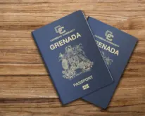 Nigeria’s FDI hunt clashes with N70bn capital flight to Grenada
