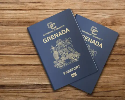Nigeria’s FDI hunt clashes with N70bn capital flight to Grenada