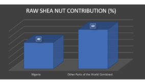 The Double-edged Sword of Raw Shea Nut Export Ban