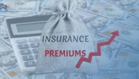 Large cap insurers mop up businesses on recapitalisation jitters