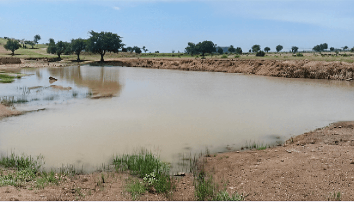 Taraba, Abia, Nasarawa, others account for 97.5% of abandoned FG projects despite full funding – BudgIT report