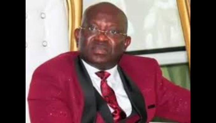 Nigeria dragged to UN over threat to democracy as ex-PFN leader calls for sanctions on senate leadership