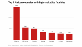 Nigeria needs N32 billion to equip PHCs with anti-venom