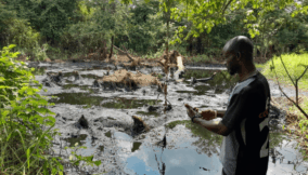 Expert claims discovery of revolutionary nanotechnology to clean up Niger Delta