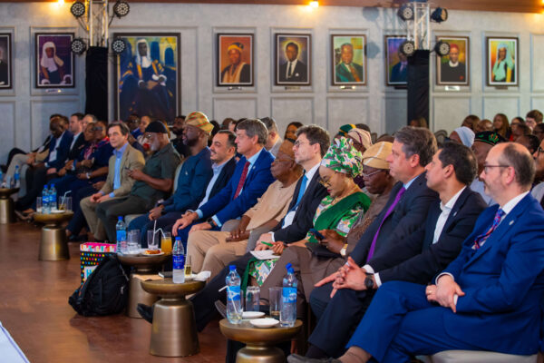 Industry experts advocate Africa’s development functional to educational success