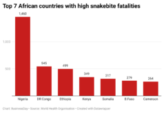 Top 7 African Countries with High Snakebite Fatalities
