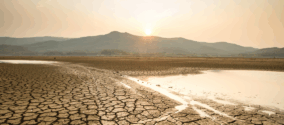 Sustainability push lifts African insurers’ climate-linked assets to $52bn