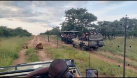 Hoedspruit: Laid-back, pristine, adventurous