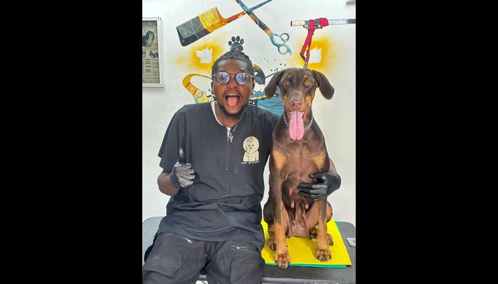 How I realised pet grooming could be a business – Adisa