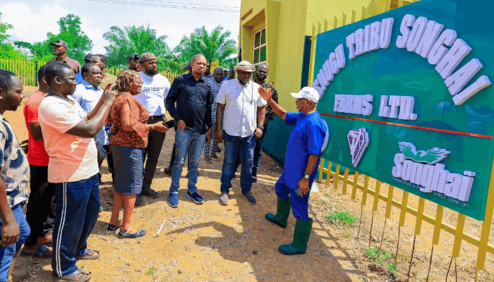 Enugu Govt applauds rapid progress on 10,000-hectare Songhai Agro hub