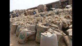 Abakaliki’s women trade bread for health in Ebonyi rice mill