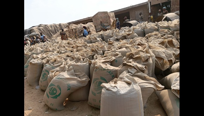 Abakaliki’s women trade bread for health in Ebonyi rice mill