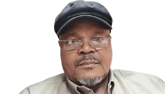 Expert Seeks Structural Reform in Nigeria’s Private Security Sector