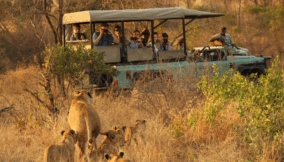 Top 5 African countries where tourism drives growth
