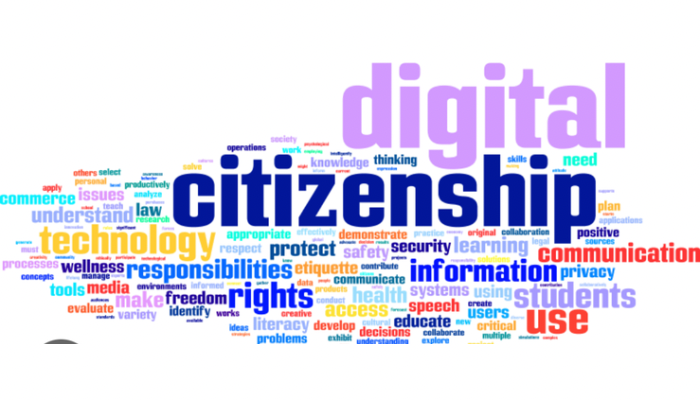 The data dignity deficit: Nigerians and the fight for digital citizenship