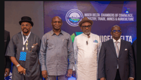NDDC