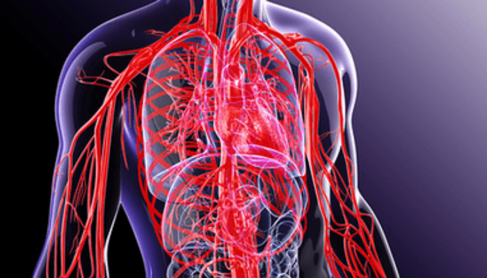 Time to clean up your blood vessels