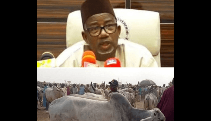 Cattle markets now targets for criminals to steal livestock, disrupt food supply chains – Bauchi governor
