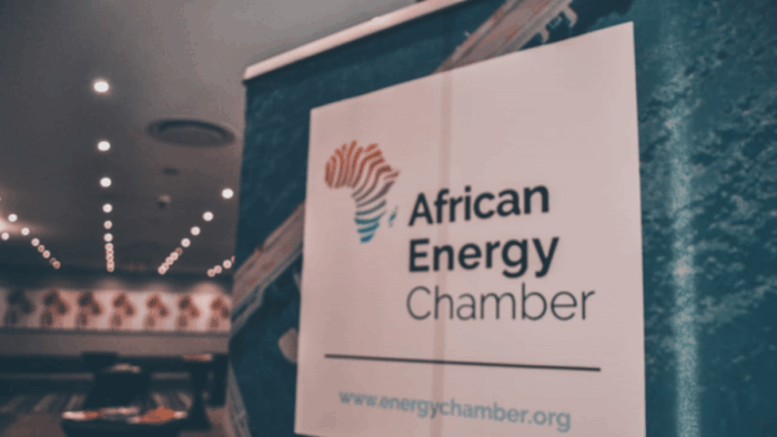 AEC Hardens Boycott Against Africa Energies Summit