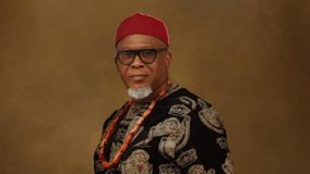 Bridging business efficiency and governance reform A conversation with Darlington Ofor