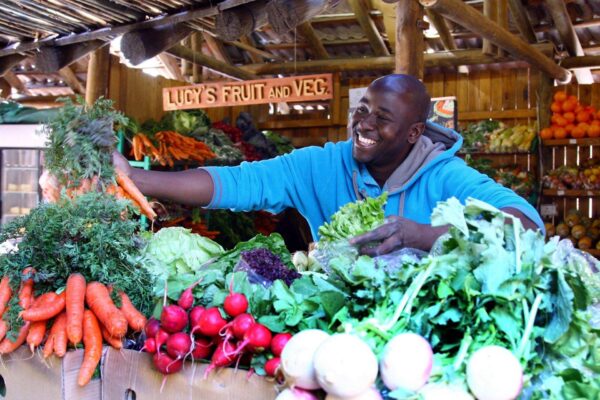 Africa’s double-digit inflation economies to fall to nine despite Middle East risks