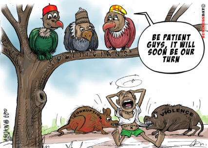 The Patient Birds