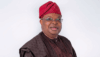 Half of Nigeria’s 13,000MW never reaches consumers – Power Minister