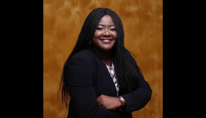 GenCos asks Tinubu to explain N3.3tn power debt audit
