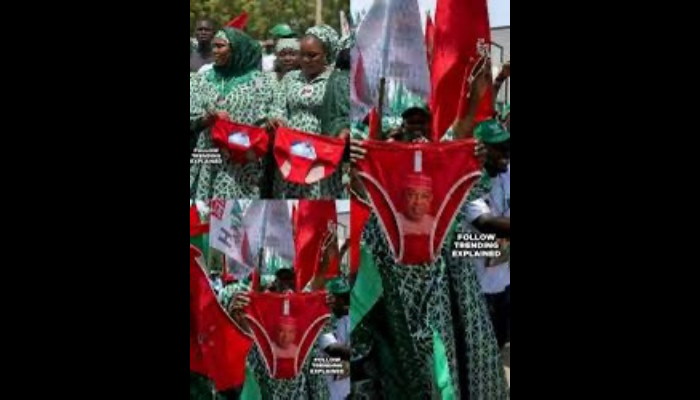 From pant to pixel: Memeotics and pantomime of governance