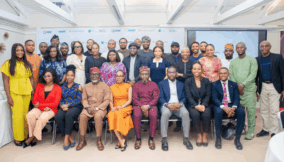 Nigeria’s renewable energy sector gets $20m blended finance push