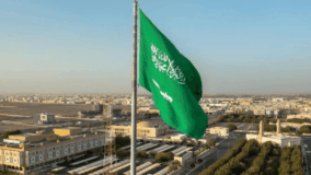 Saudi Arabia seeks FCT partnership on green cities, security, economic development