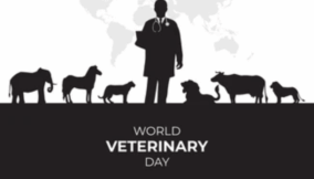 Neglect of veterinary practice could worsen food insecurity, public health – Professionals