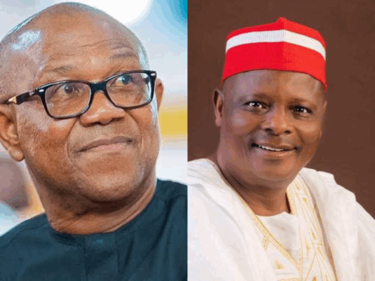 Rivers ADC remains strong despite Obi, Kwankwaso’s exit – Dimkpa