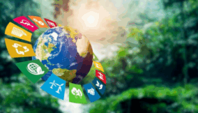 7 countries setting the standard for global sustainability