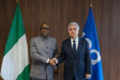 Ekperikpe Ekpo AND FATIH BIROL IEA
