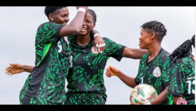 Falconets 2