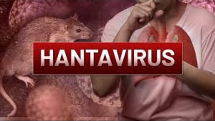 Hantavirus