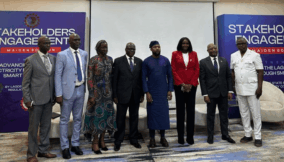 Lagos bets big on electricity with 14 new licensed power plants