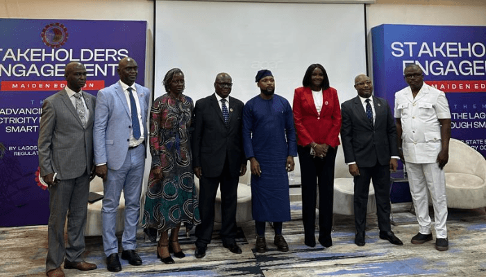 Lagos bets big on electricity with 14 new licensed power plants