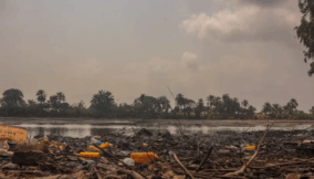 Not cleaning Niger Delta region means making oil money blood money – Nnimmo Bassey