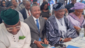 Odua investment set to reposition subsidiaries to globally competitive entities
