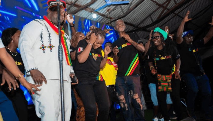 One Nation Reggae Festival: The making of Sierra Leone’s cultural bridge to the Caribbean