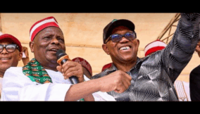Strategic calculations Why Kwankwaso wants to be Obi’s running mate in 2027