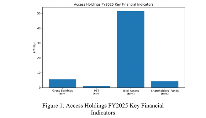 Access Holdings