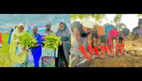 agriculture in Plateau State