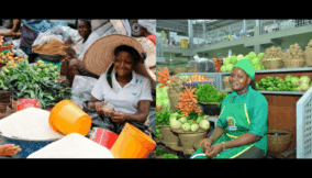 From food vendors to factory floors: Jigawa, Kwara states bet on women for economic revival