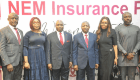 NEM Insurance Plc