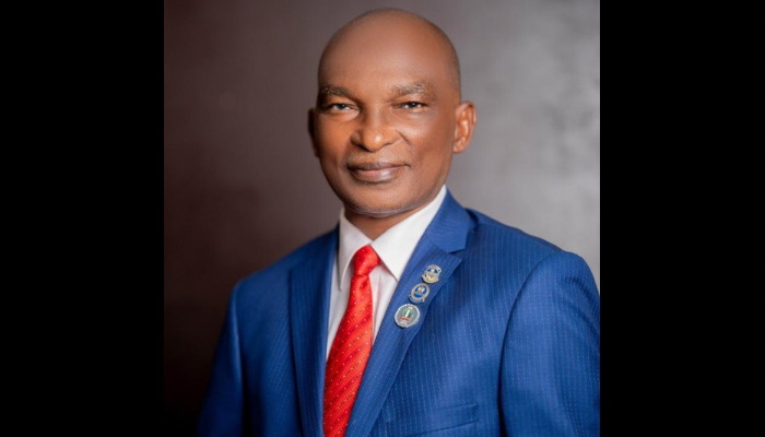 NIESV urges FG to establish property data bank to unlock N500trn wealth