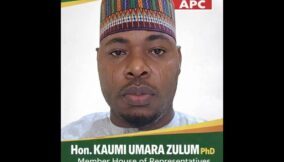 APC: Governor Zulum’s brother picks ticket, three lawmakers fall 