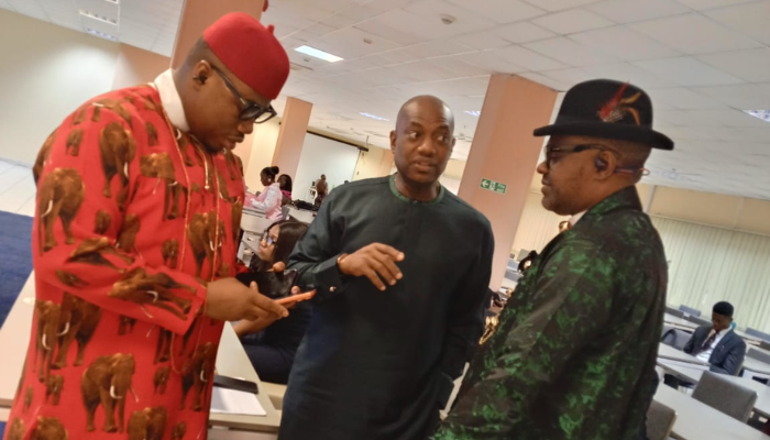 DBR international conference series: How strategic elevation techniques can boost Niger Delta economy